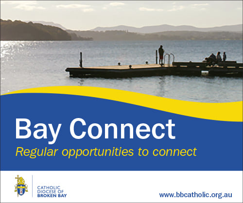 Bay Connect Program Launch